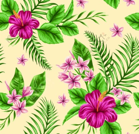 热带花卉背景图片