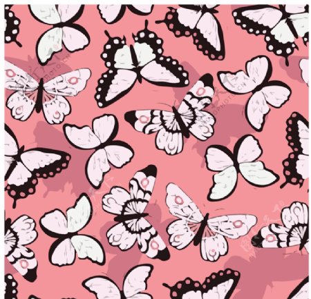 卡通蝴蝶花朵满印图片