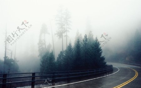 公路背景雾高清图片