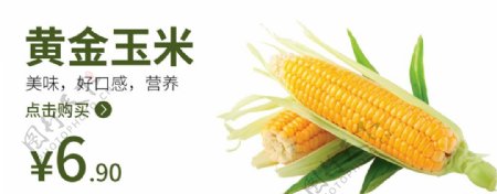 黄金玉米食品海报玉米海报图片