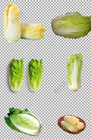 绿色的白菜图片