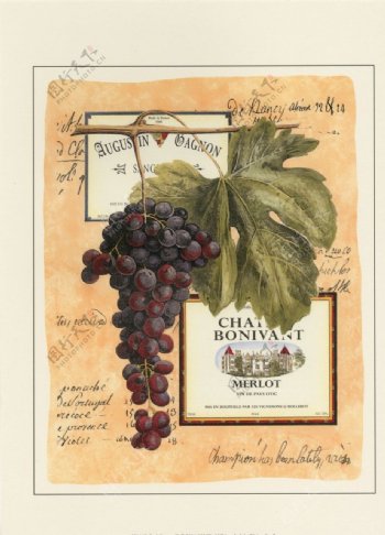 美式葡萄水果复古装饰画图片