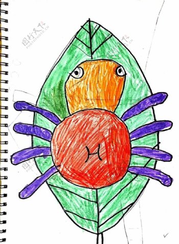 儿童简笔画子航之可爱蜘蛛简笔画图片