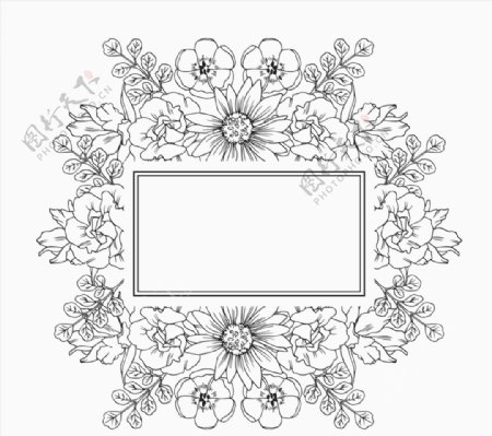 手绘无色花卉框架图片