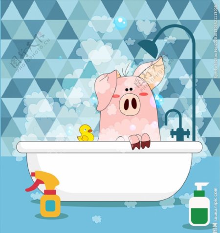 浴室洗澡的猪图片