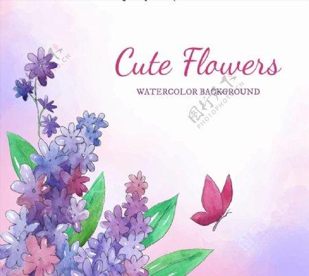紫色花卉和蝴蝶图片