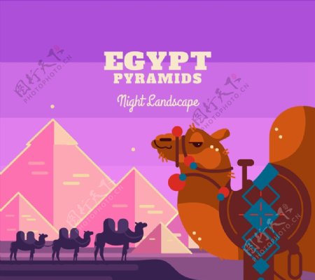 埃及金字塔和骆驼图片