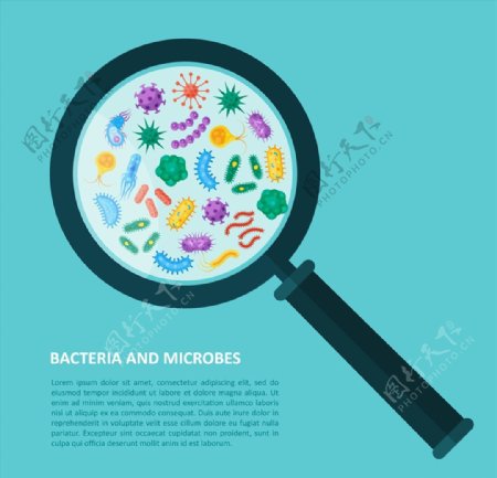 放大镜下的细菌插图图片
