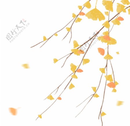秋季银杏叶png素材图片