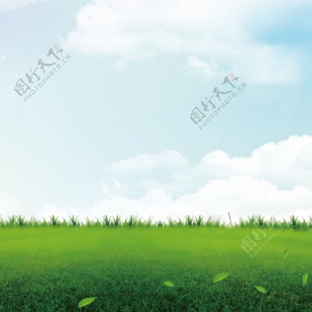 草地天空绿叶图片