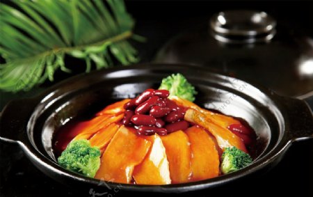 红腰豆百灵菇图片