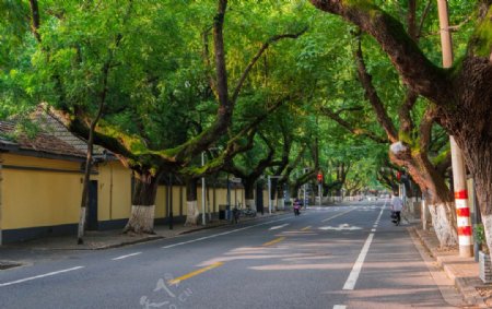 大城市建筑风景摄影图片