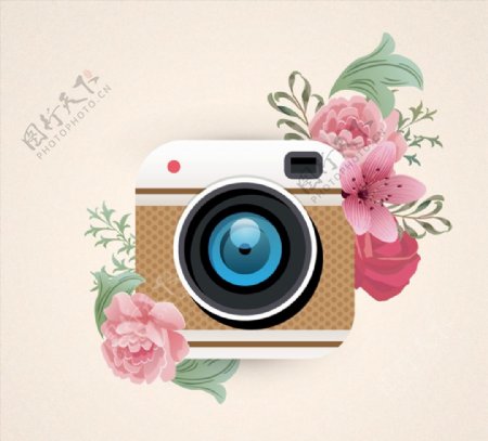 照相机和花卉图片