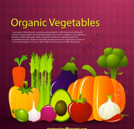 卡通蔬菜设计图片
