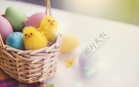 玩具鸡蛋篮复活节复活图片