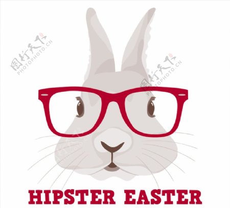 戴眼镜框的兔子图片