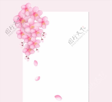 樱花装饰纸张图片
