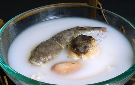 川菜美味奶汤河豚图片