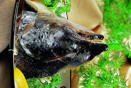 豫菜碳烧三文鱼头图片