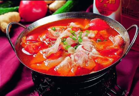 豫菜西红柿炖财鱼锅仔图片