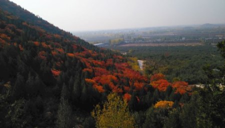北京秋天的风景图片