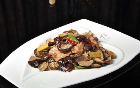 南北热菜香菇炒肉片图片