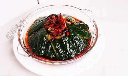 淮扬菜炝炒黄瓜皮图片