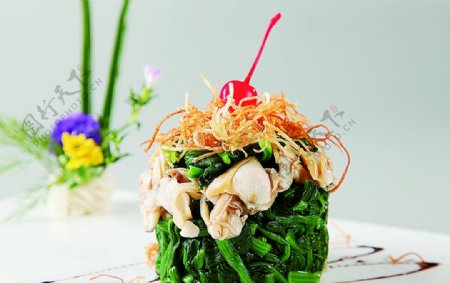 特色菜菠菜蛤肉图片