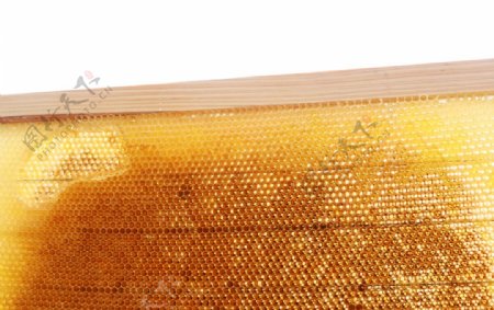蜂脾养蜂场图片