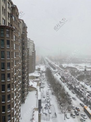 大雪中的哈尔滨图片