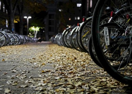 秋天晚上落叶小区一排自行车棚图片