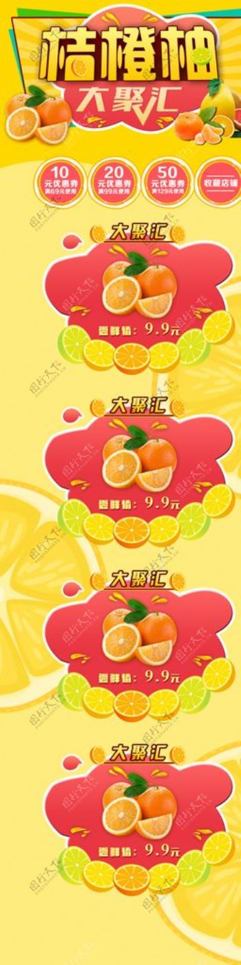 桔橙柚大聚会图片