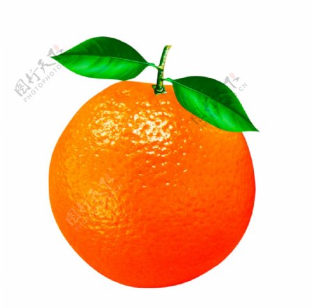 脐橙橘子图片