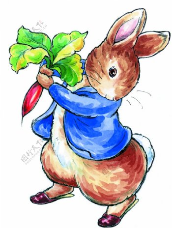 兔子拔萝卜图片