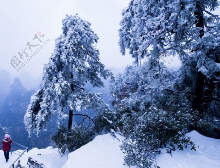 张家界雪景图片