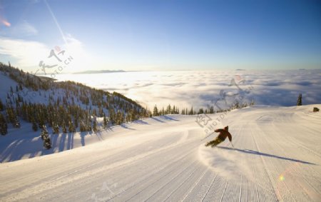 滑雪极限运动滑雪板图片