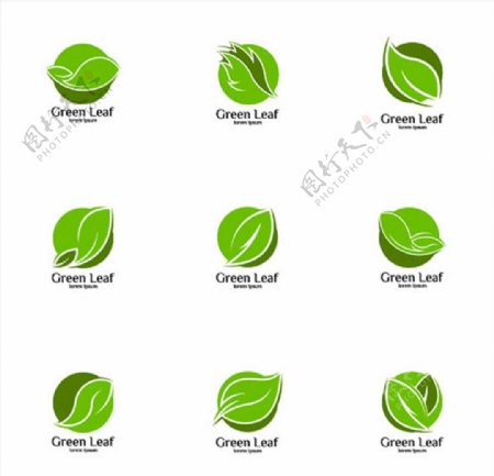 绿叶元素标志图片