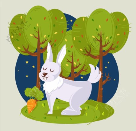 森林里的白兔图片