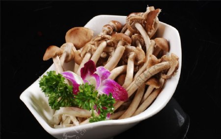 鲜茶树菇图片