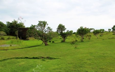 巴厘岛草坪图片