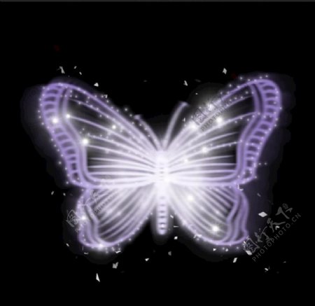 蝴蝶光效图片