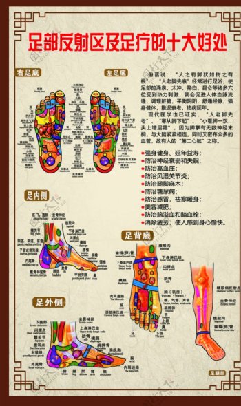 足部反射区及足疗的十大好处图片