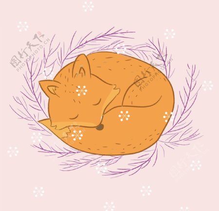 矢量狐狸插画图片
