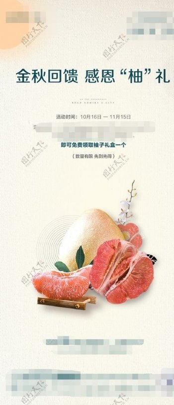 地产送柚子活动单图海报图片