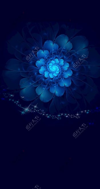 蓝色花背景图片